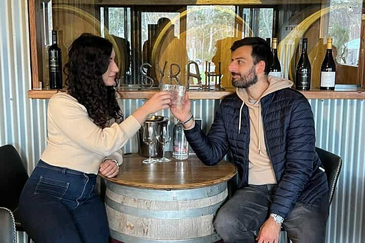 Sydney Wine Tasting & Southern Highlands with Pick up & drop off 