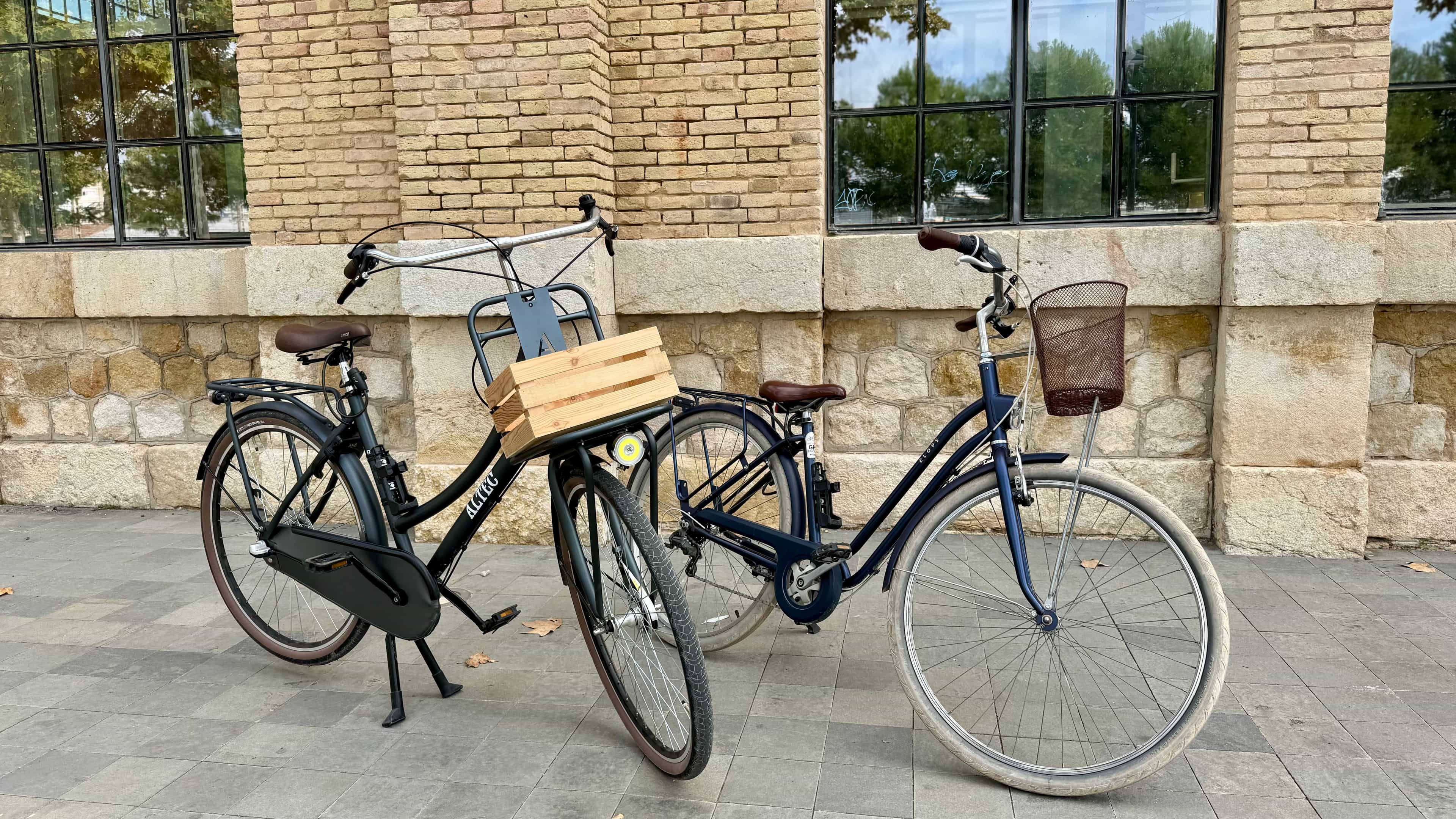 Adult City Bike Rental