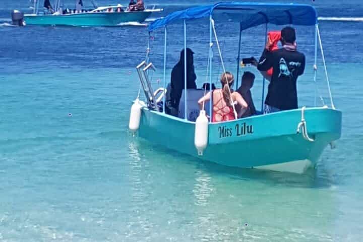 Snorkeling, Monkey Sloth West Bay Beach City Tour 