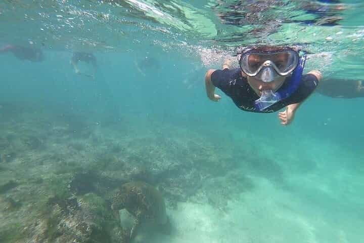 5 Days Galapagos Extreme - "Santa Cruz and Isabela Island "
