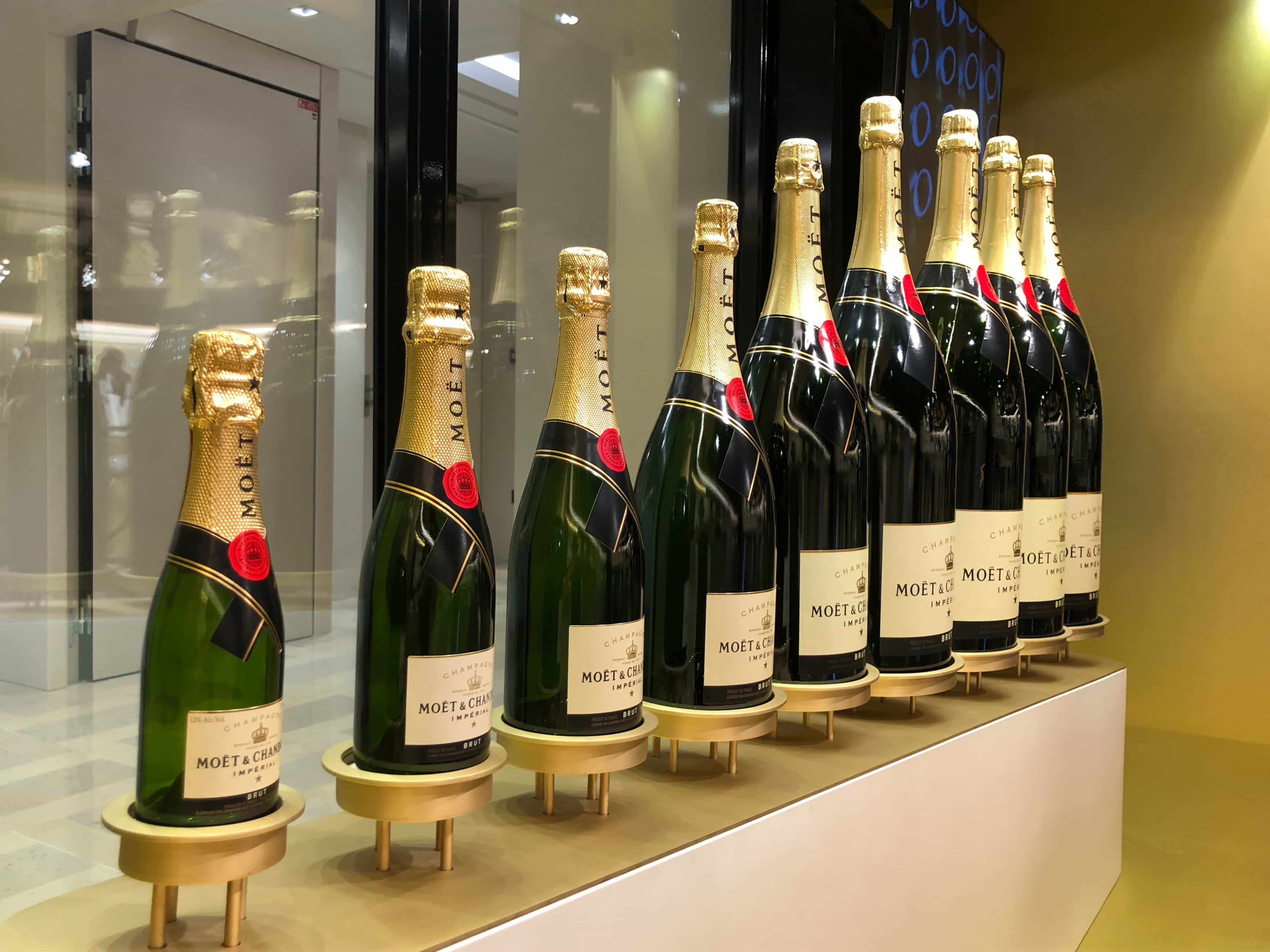 REIMS & CHAMPAGNE REGION One Day Trip 
