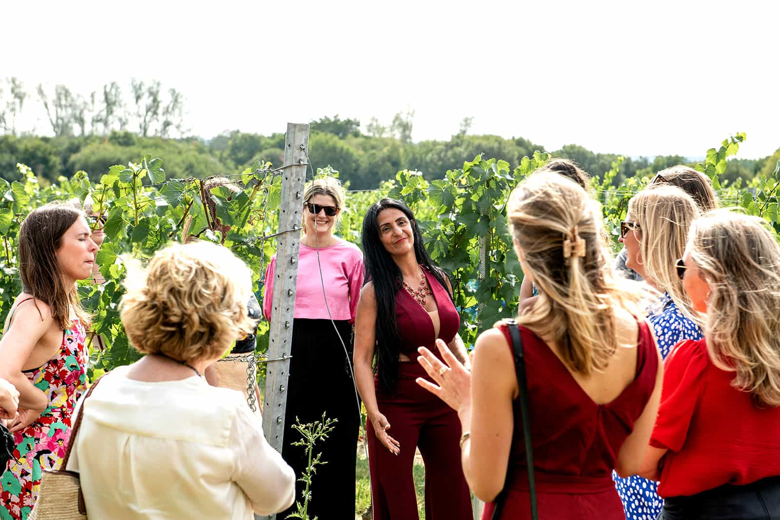 Owners vineyard tour and wine tasting at Oastbrook