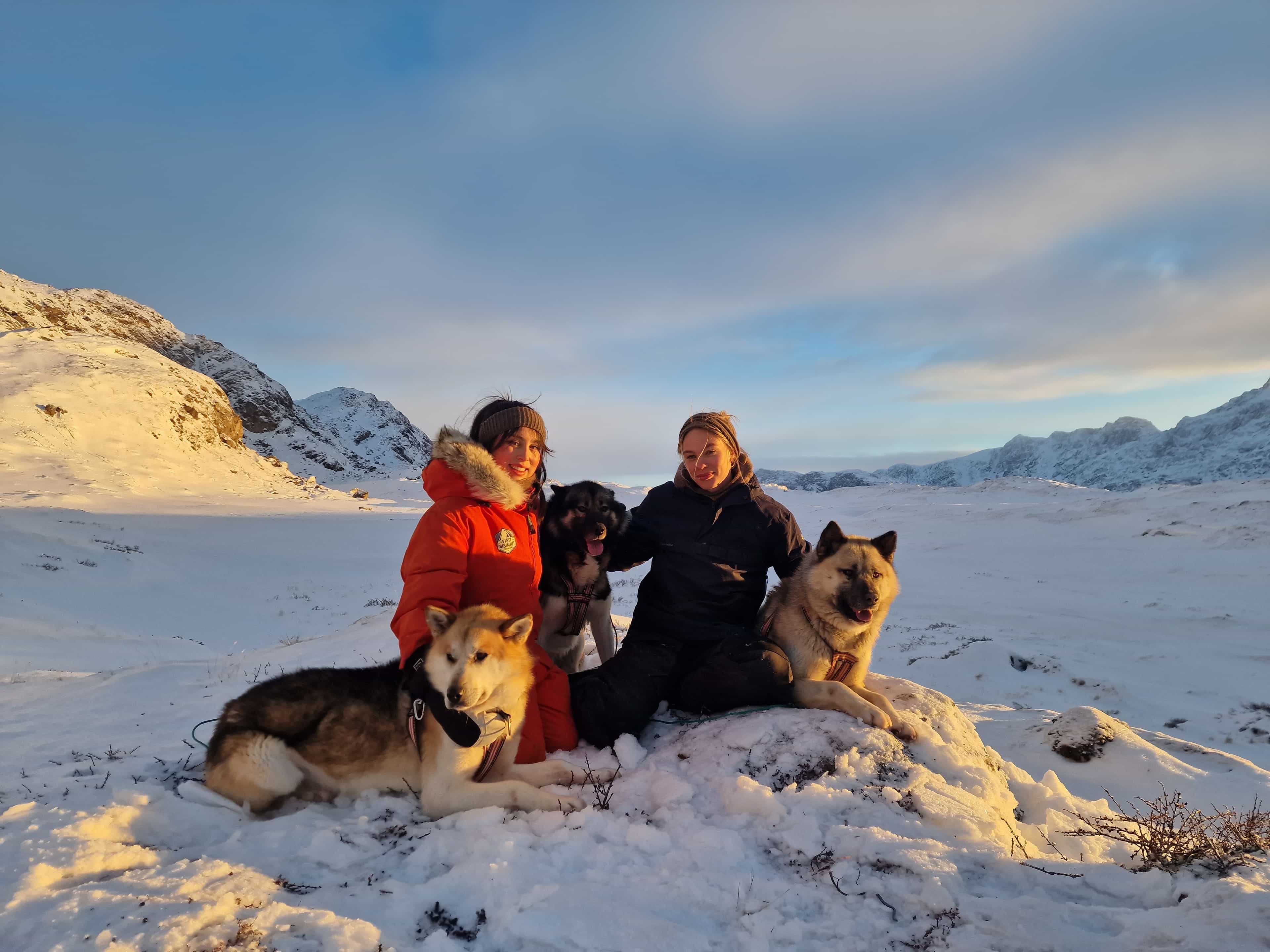 Greenland Dog Visit