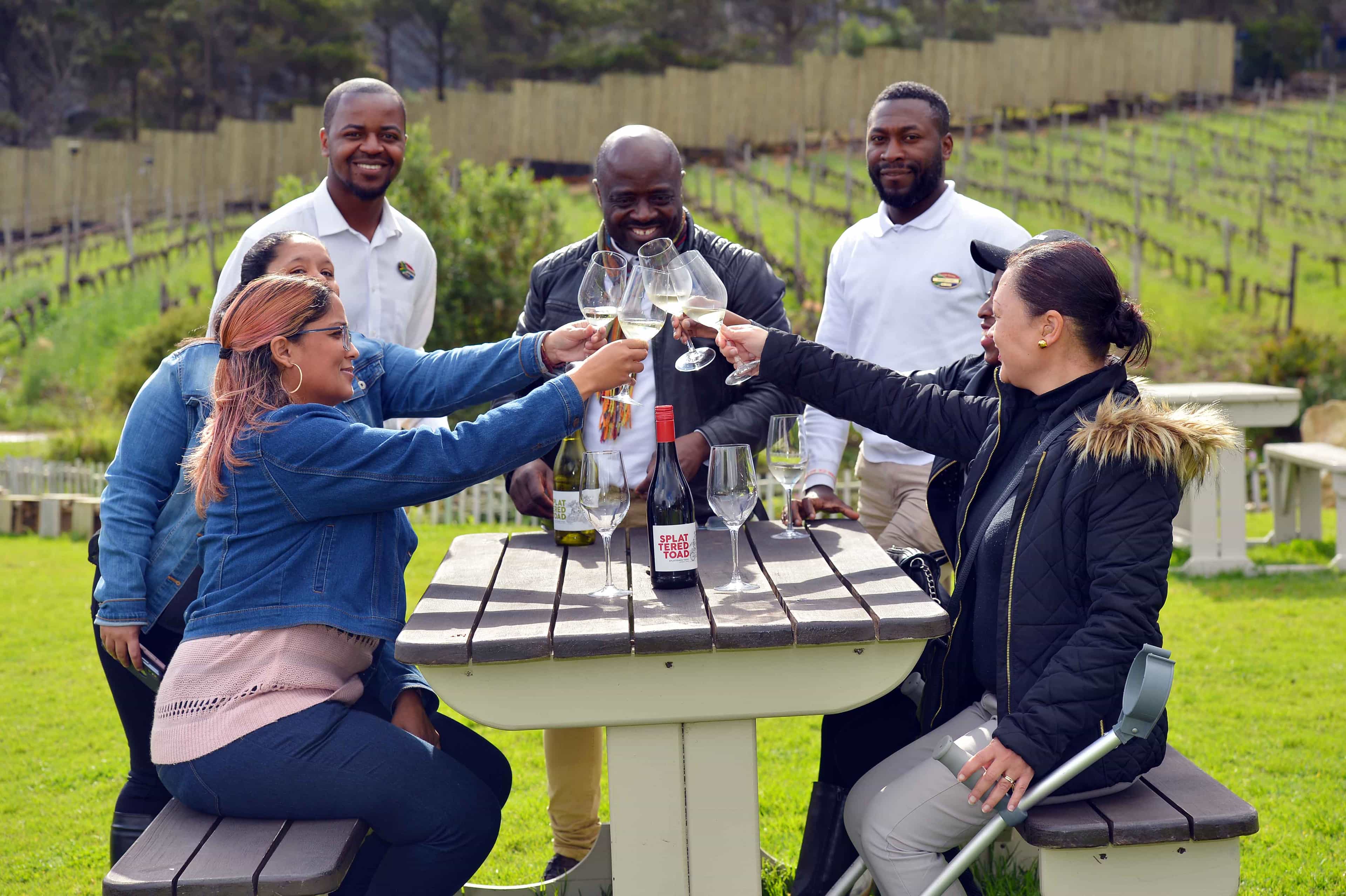 Private Wine Tours Cape Town Including Stellenbosch