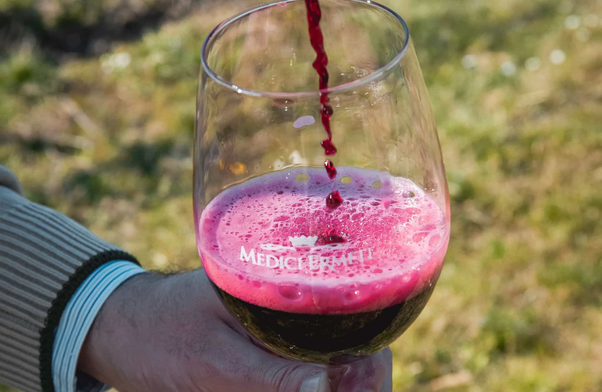 Balsamic Vinegar, Wine Tasting & Tour near Parma & Reggio