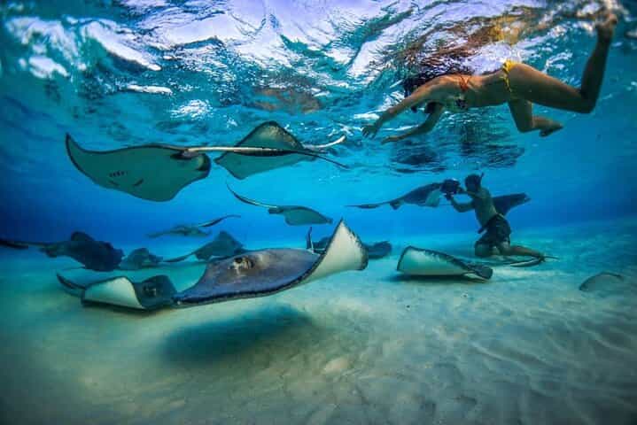 2-stop Adventure: Stingray City and snorkeling at Cayman Reefs