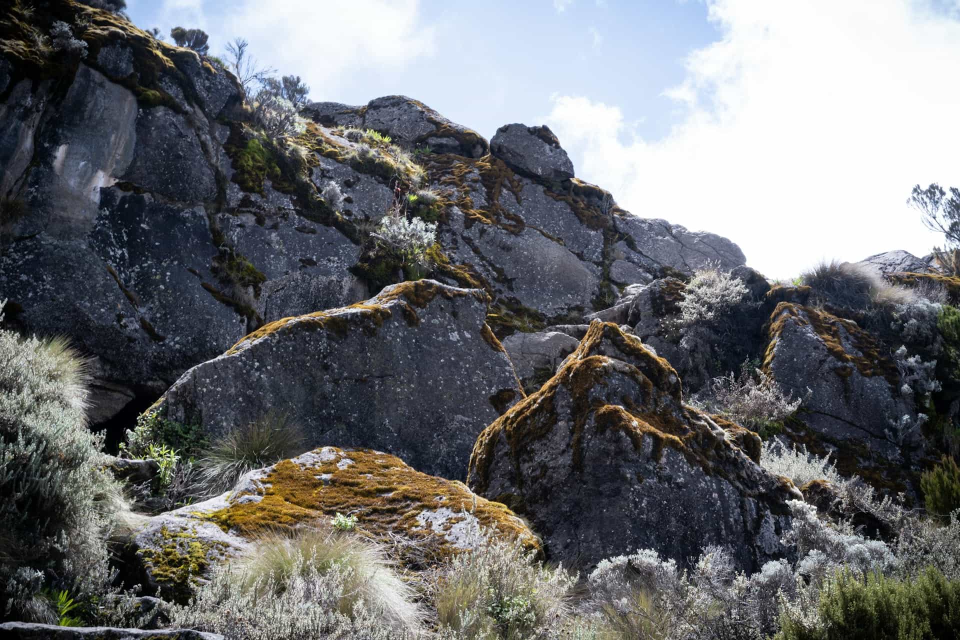 Machame Route 7 Days