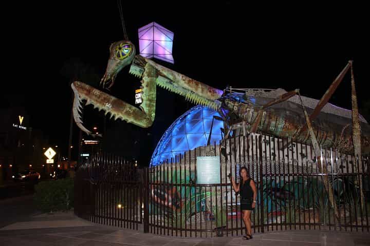 The Weird, Wacky Fremont Bar Experience with Cocktails and Photos