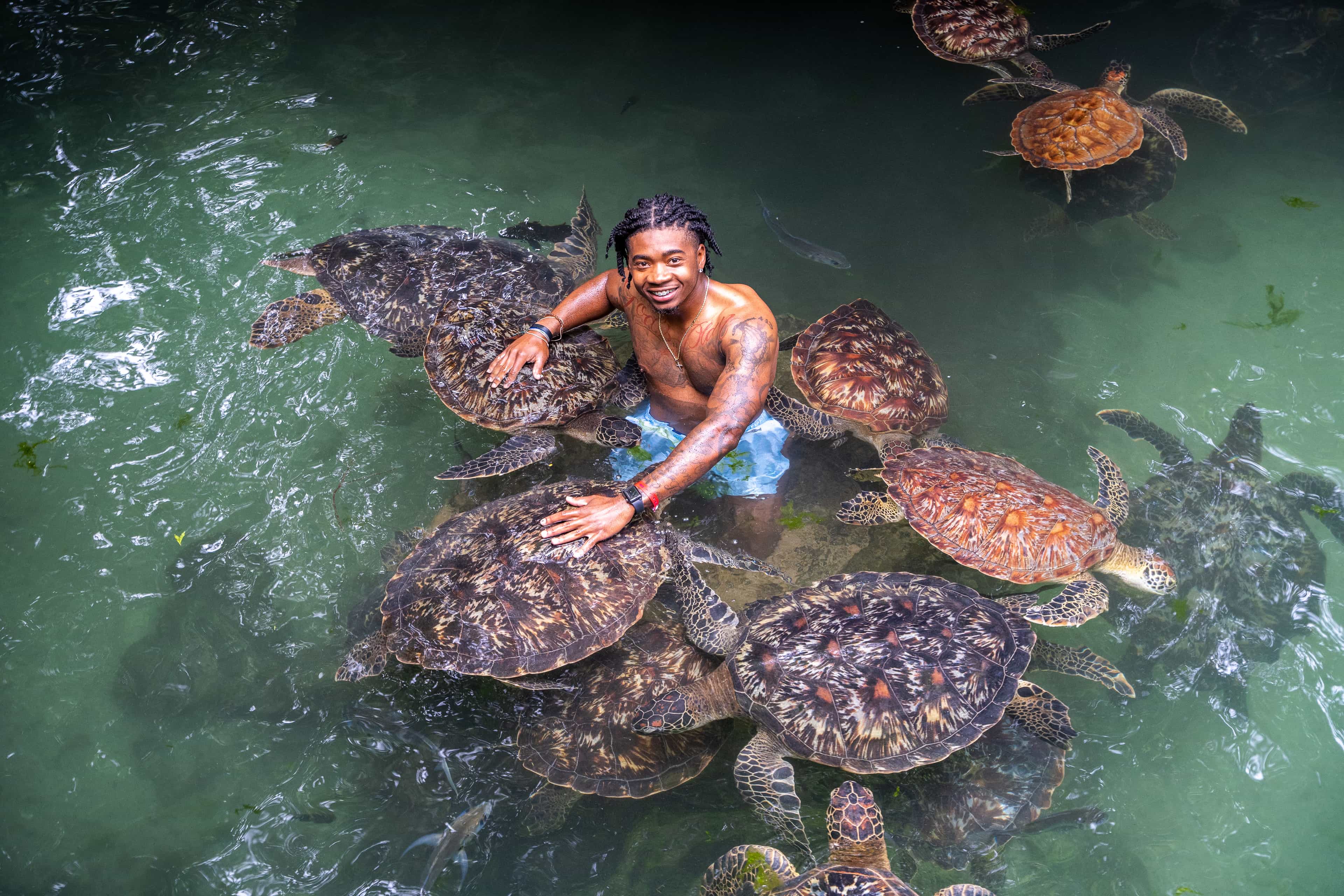 Turtle Sanctuary