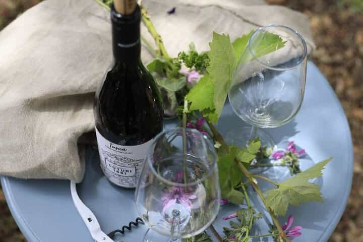 Taranto and Manduria with Wine Tasting Day Tour