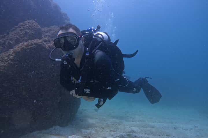 Full Day: 3 Dives for certified divers in Dibba Musandam Oman