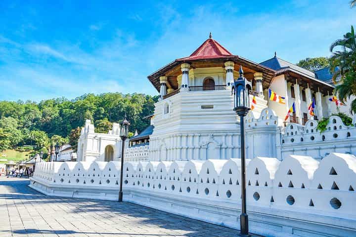 Private Day Trip To Highlights in Kandy.
