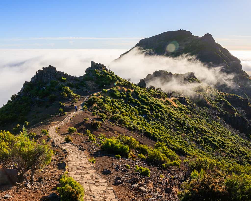 PR1.2. Pico Ruivo and Achada do Teixeira Hiking with Transfer 