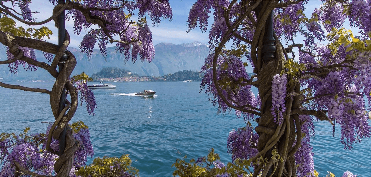 Lake Como Small Group Tour from Milan: Menaggio, Bellagio & Varenna with ferry