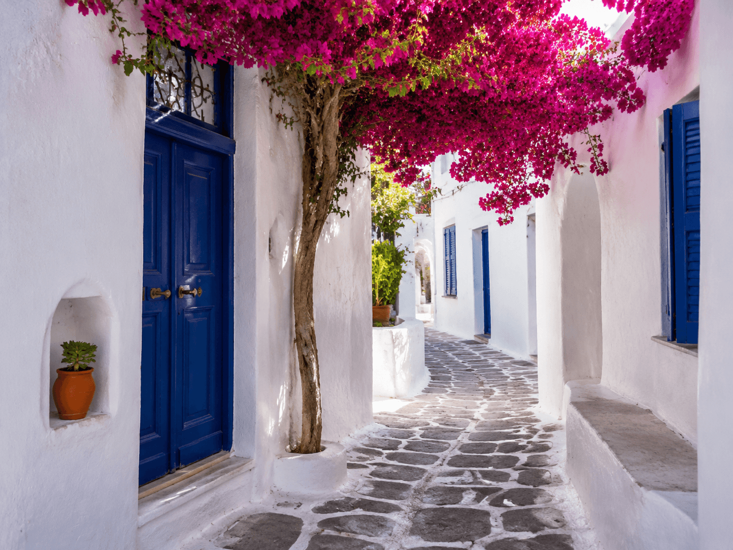 Private Walking Tour in Mykonos Town & Secluded Beach Picnic