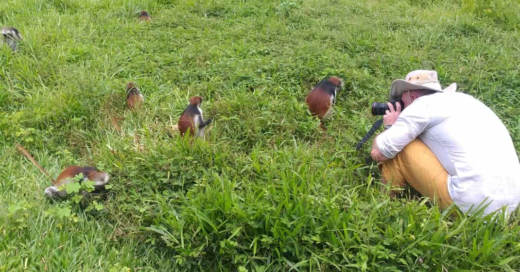 Zanzibar: Jozani Forest & Red Colobus Monkeys Private Tour