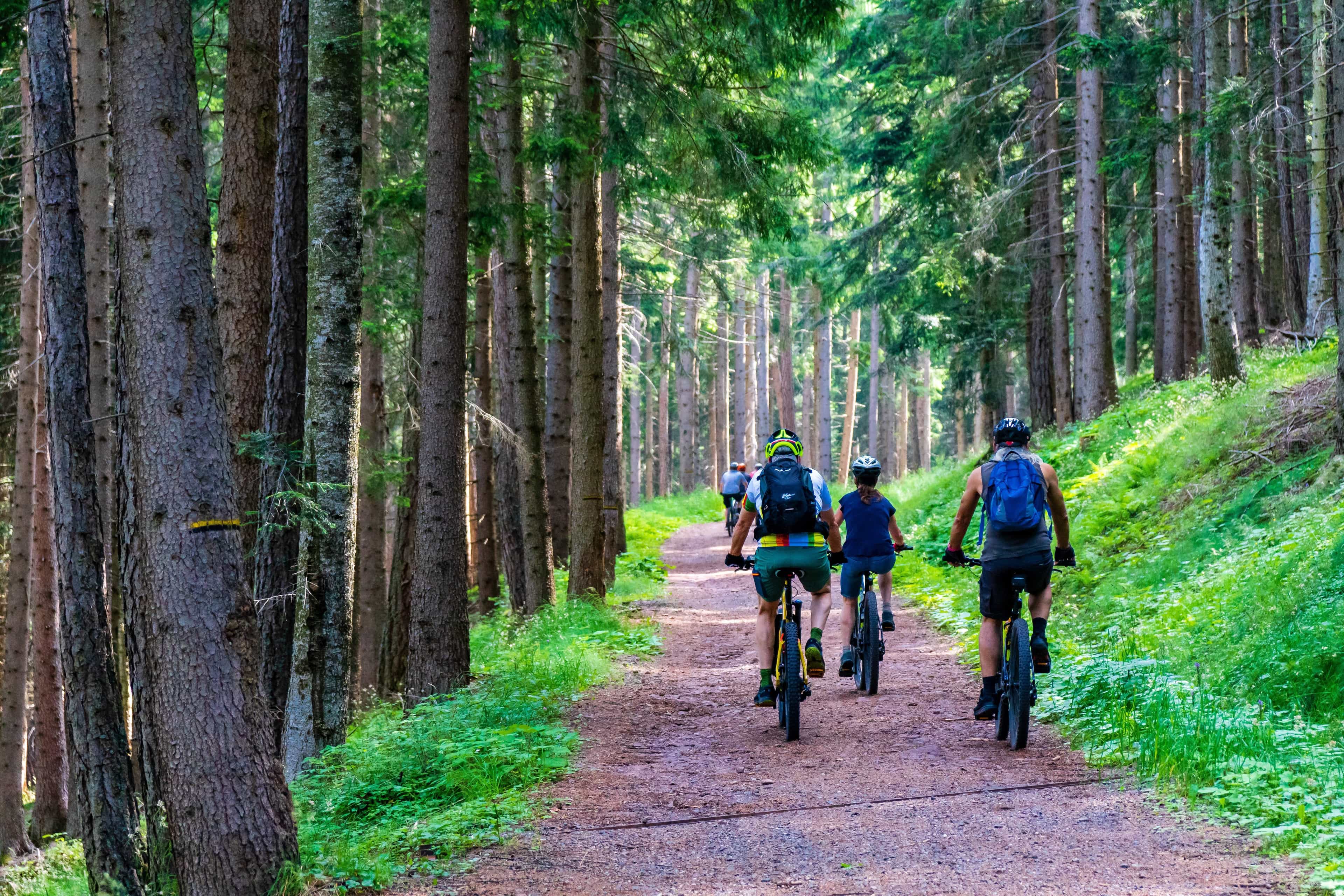 Cycling Tour Ostallgau & Lechtal