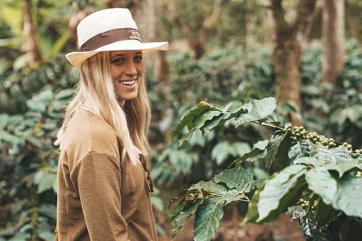 Half Day Coffee Experience with Transportation