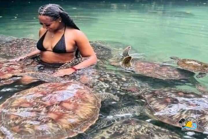 Baraka Aquarium in Swimming with Turtles and Sunset Dhow Cruise