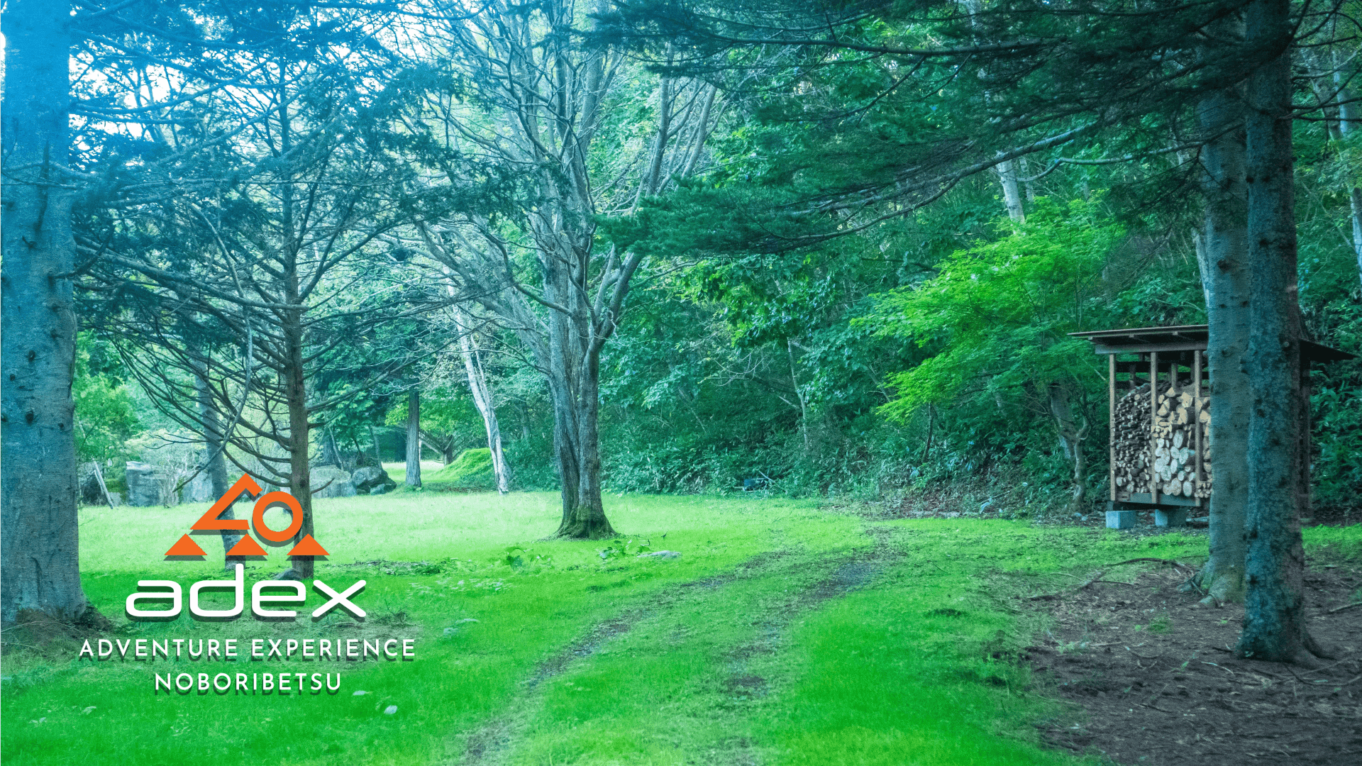 adex Forest Nature Walk Tour