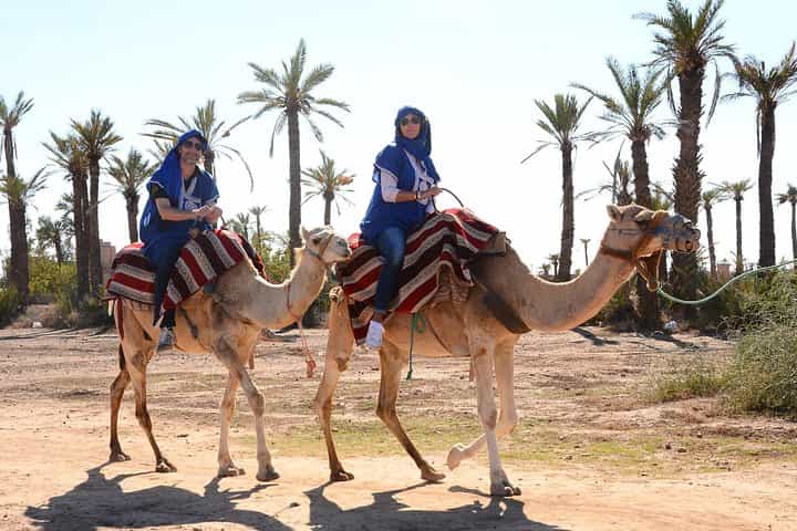 Marrakech Desert Camel Ride 