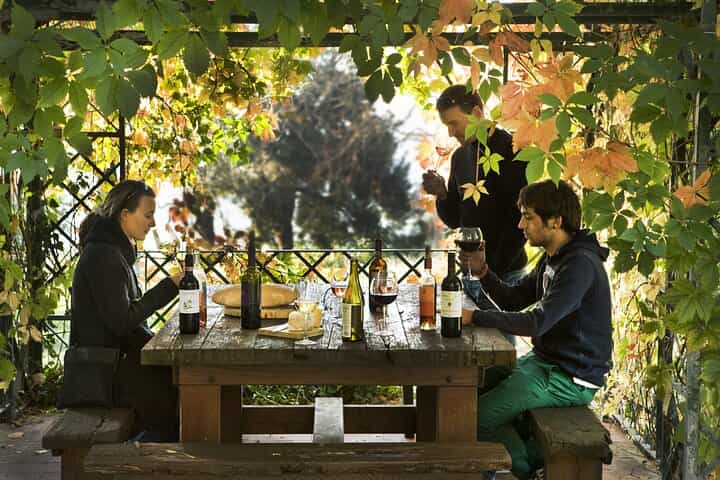 Exclusive Chianti Rufina Half Day Tour with Lunch from Florence