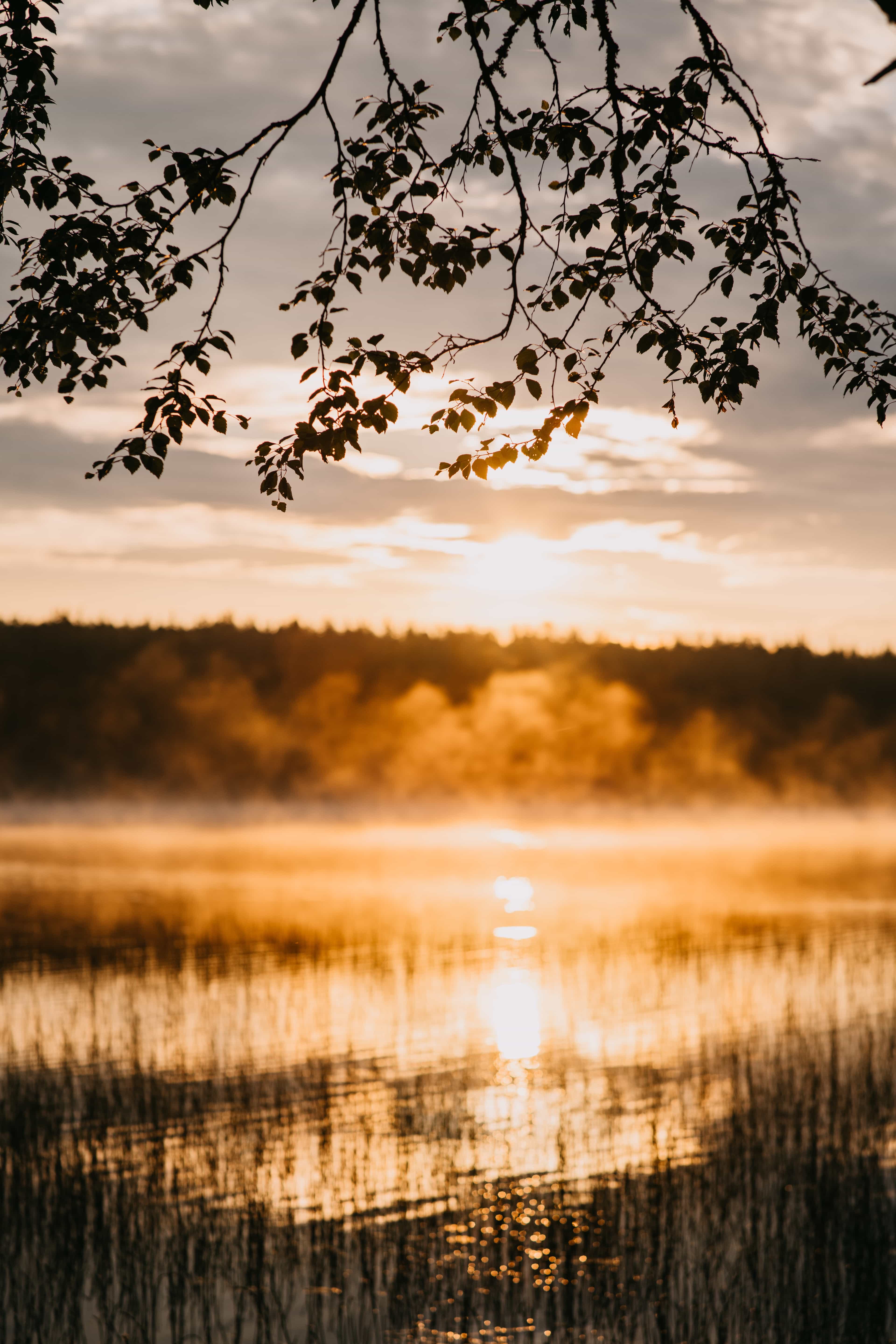 Private - Sunrise Canoeing Adventure in Levi
