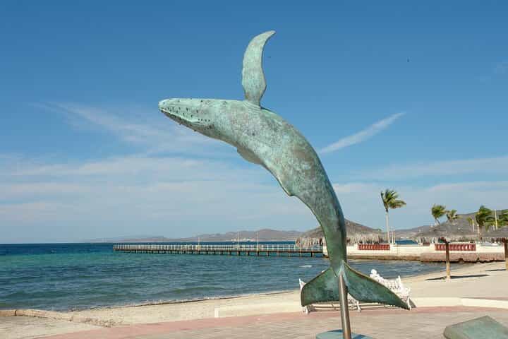 Product Title: A Full-Day Baja Adventure: La Paz, Balandra Beach & Todos Santos