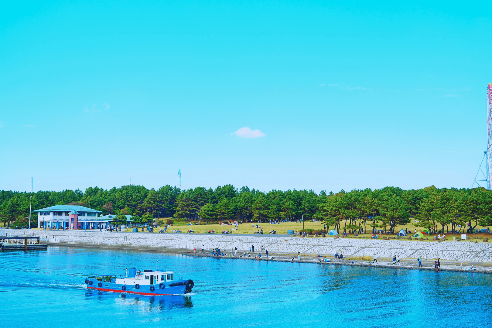 Kasai Rinkai Park Half Day Tour | IAA Special Edition