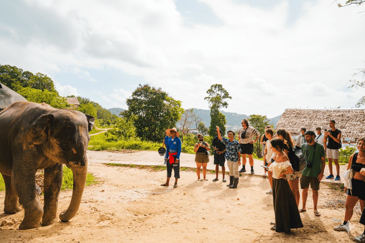Learn, Walk & Plant for Elephants