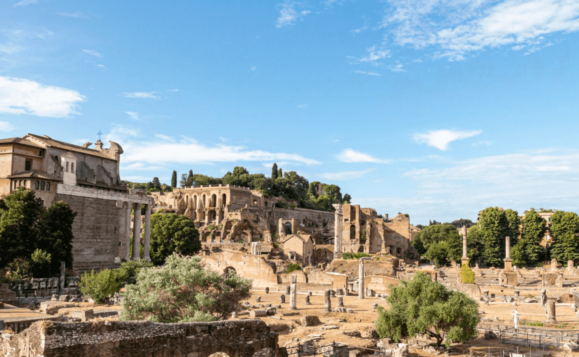 Private Colosseum, Roman Forum and Palatine Hill with Hotel Pick-Up & Drop Off
