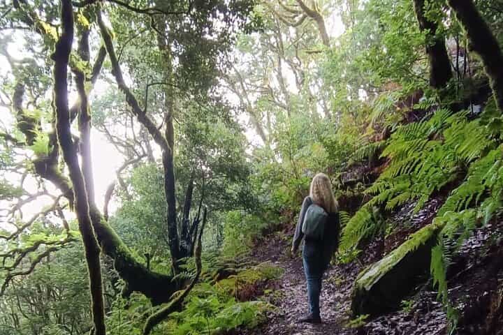 Tenerife Hiking in Enchanted Forest Above Masca with PICKUP