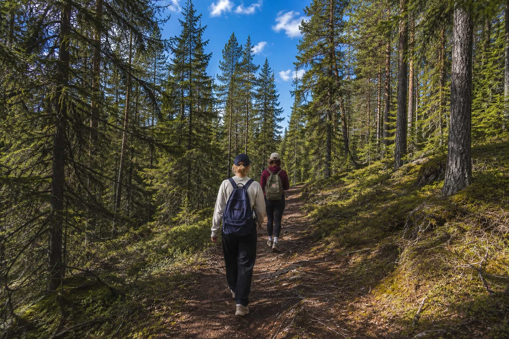 Rovaniemi: Korouoma Canyon Hike Tour & Barbeque - Small Group