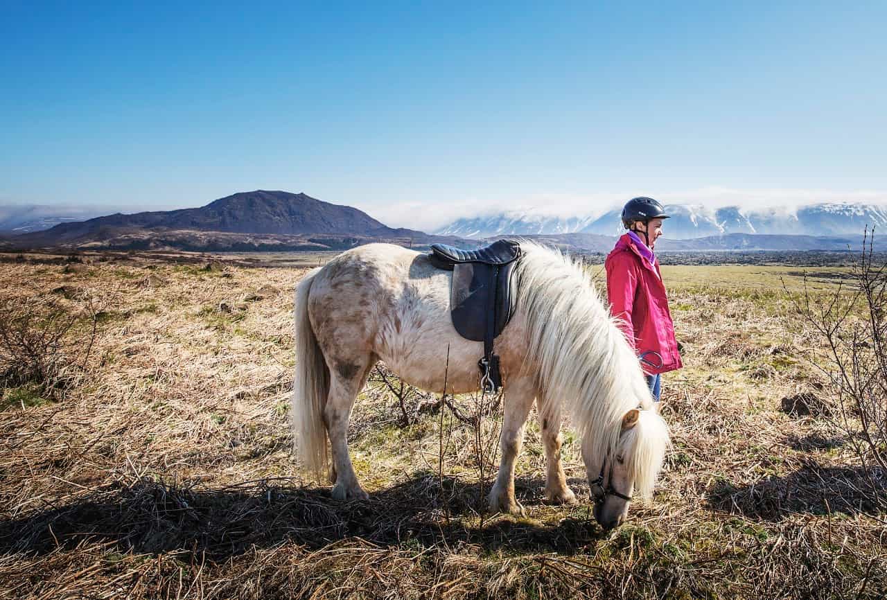 Lava Tour - Horseback Riding through the Lava Fields