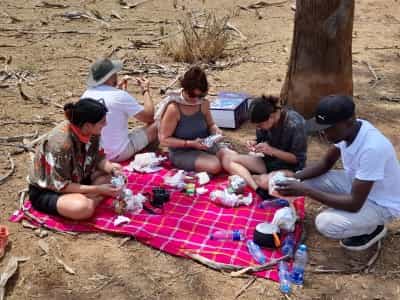 8-Day Kenya Highlights Safari: Amboseli Elephants, Nakuru Rhinos & Maasai Mara