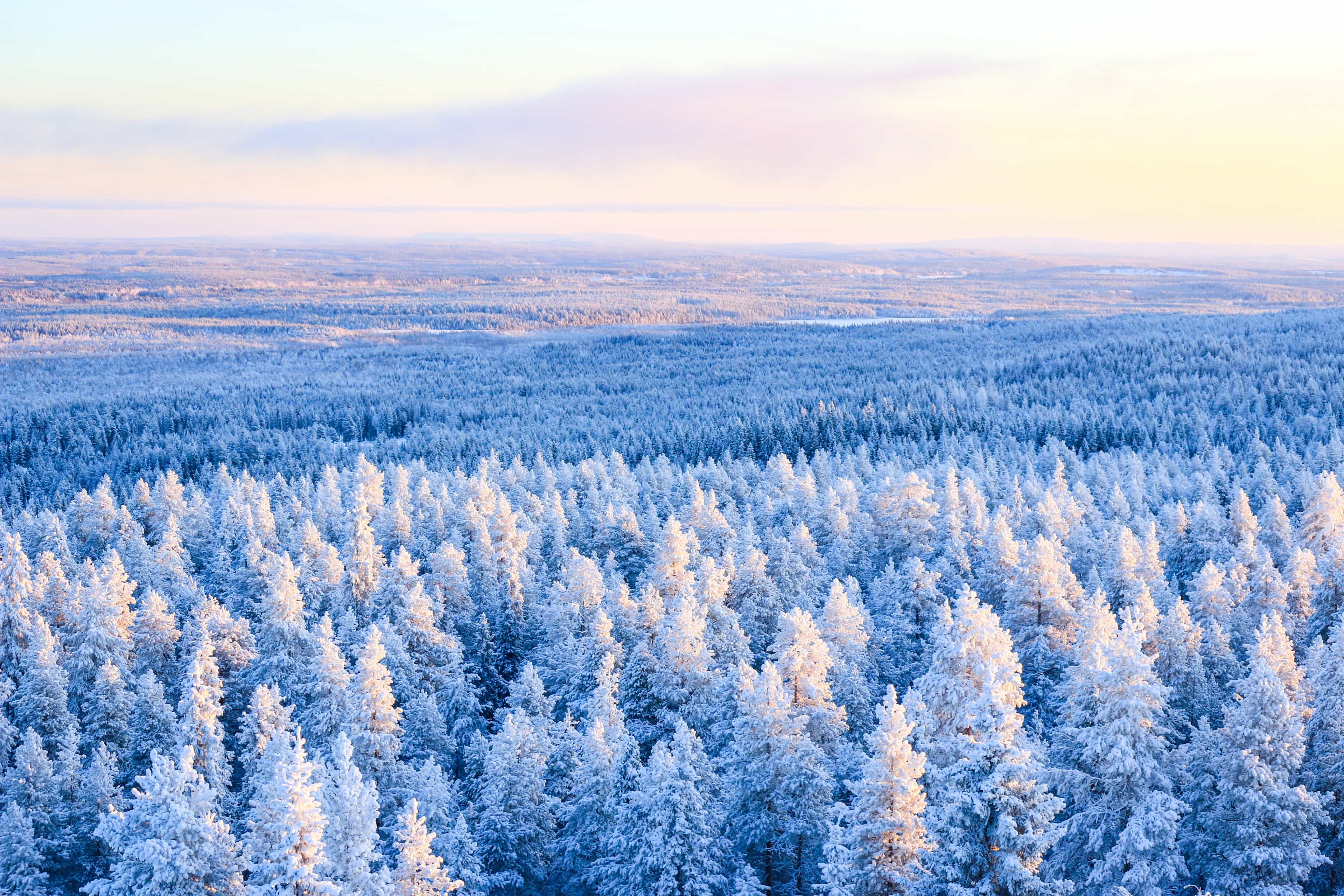 Wilderness Survival Tour - Winter