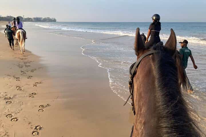Private Horse Riding Activity in Port City