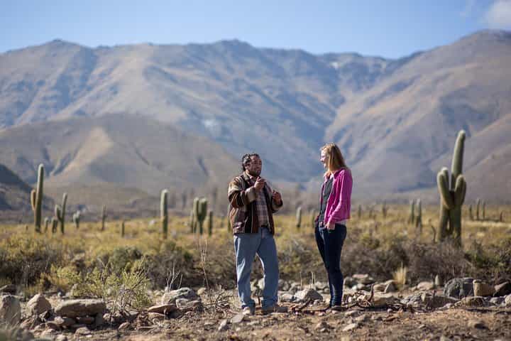 Tafi del Valle Half-Day Tour from Tucuman