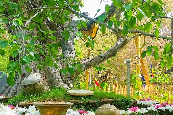 Aukana and Anuradhapura Day Tour From Polonnaruwa
