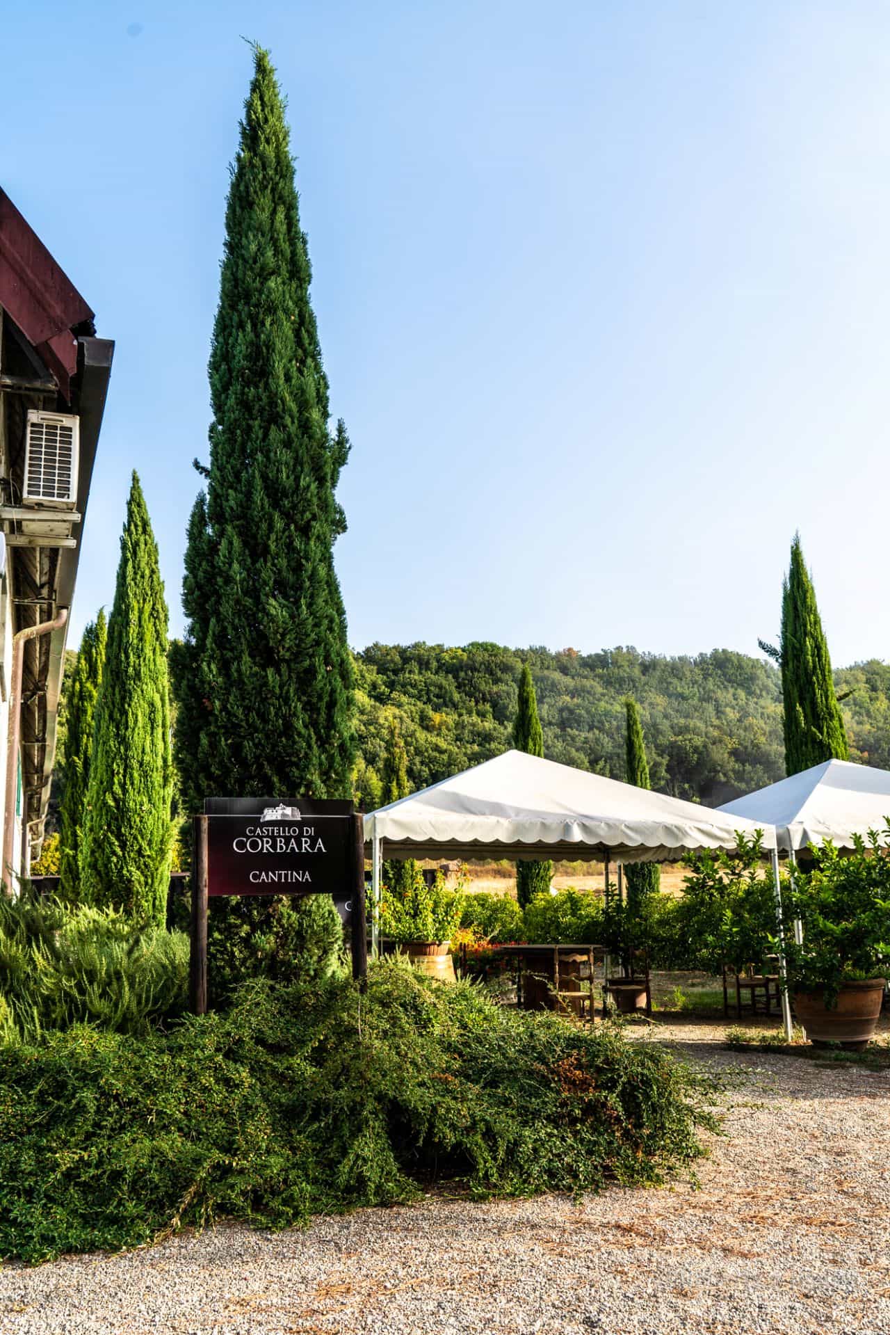 The Wines of Corbara: Exploring the Flavors of Umbria