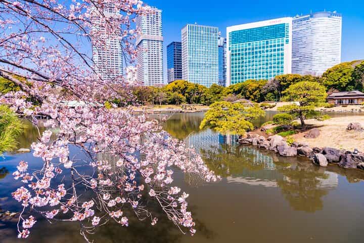 Hama-rikyu Gardens Walking Tour with Matcha& Japanese Sweets