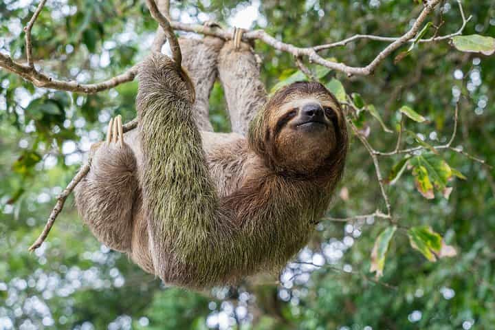 Wildlife Rescue Center Private Tour