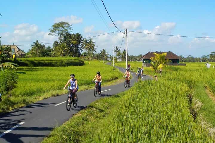 Bali Cycling Ubud all Inclusive
