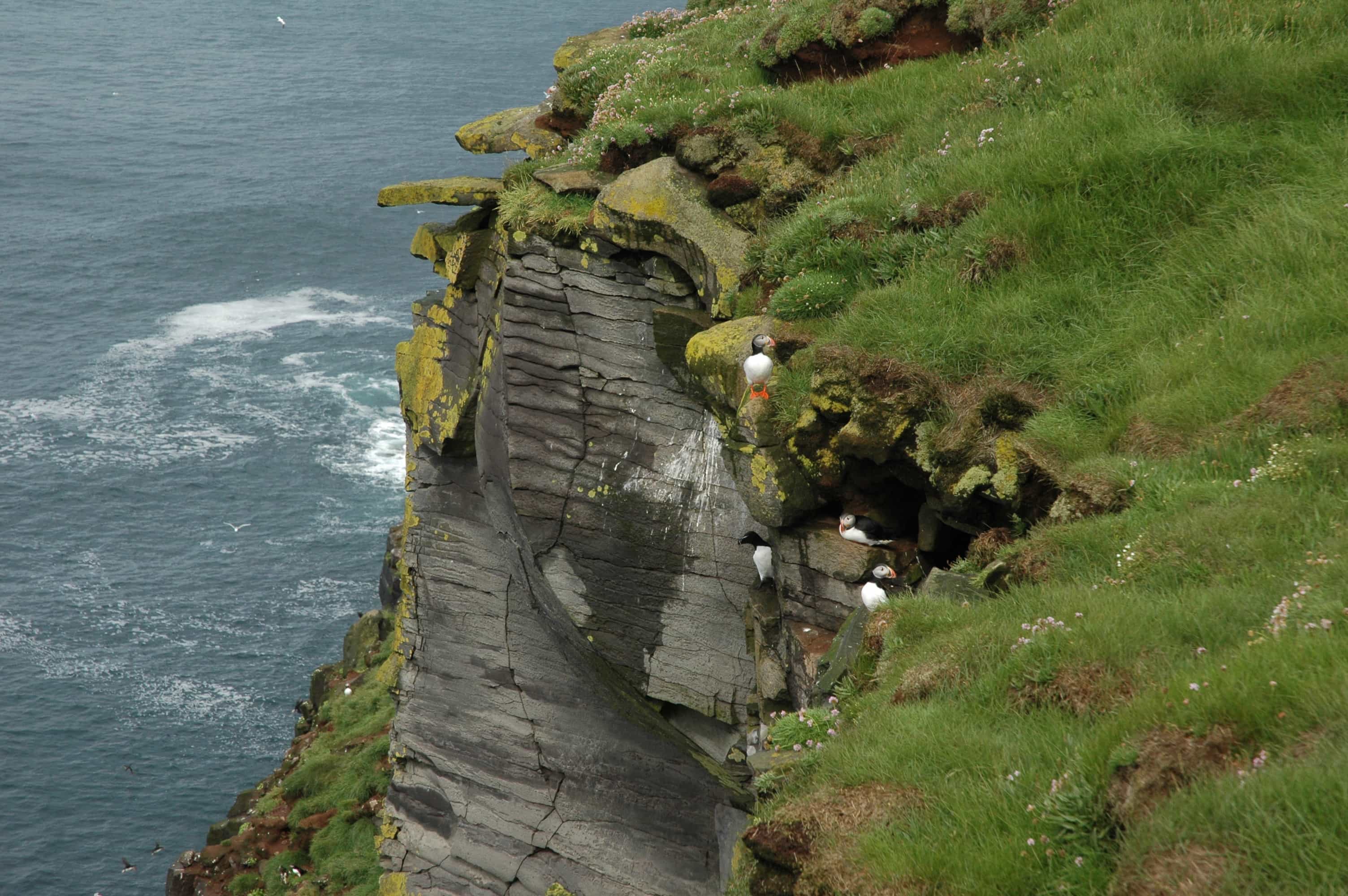 Excellent Birding Sites