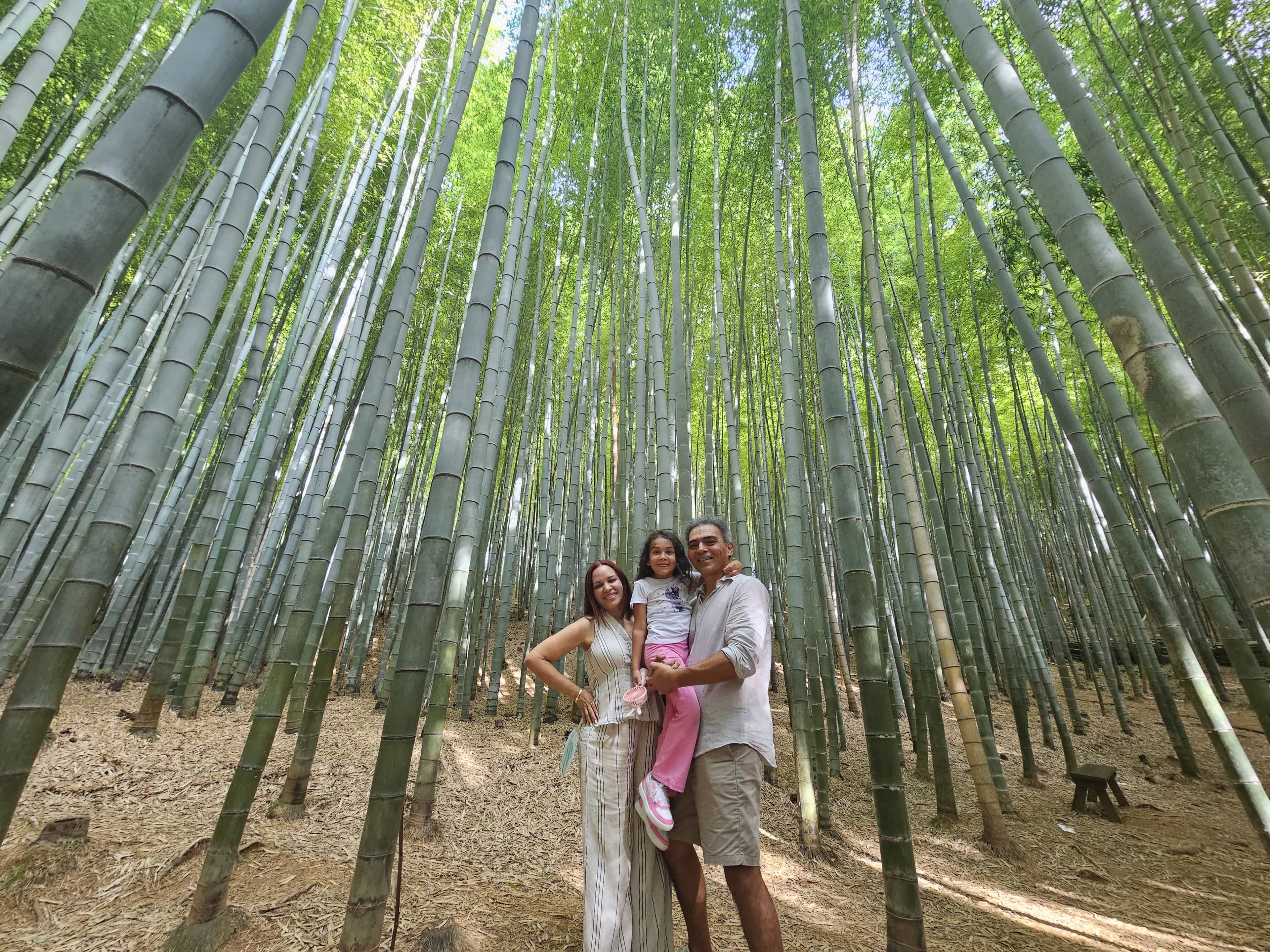 Busan Hidden Gems Private Tour with a Licensed Guide