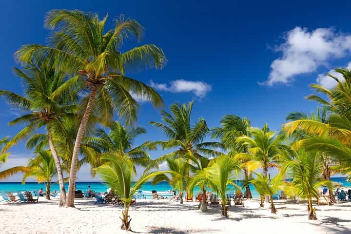Saona Catamaran Cruise with Lunch and Natural Swimming Pool
