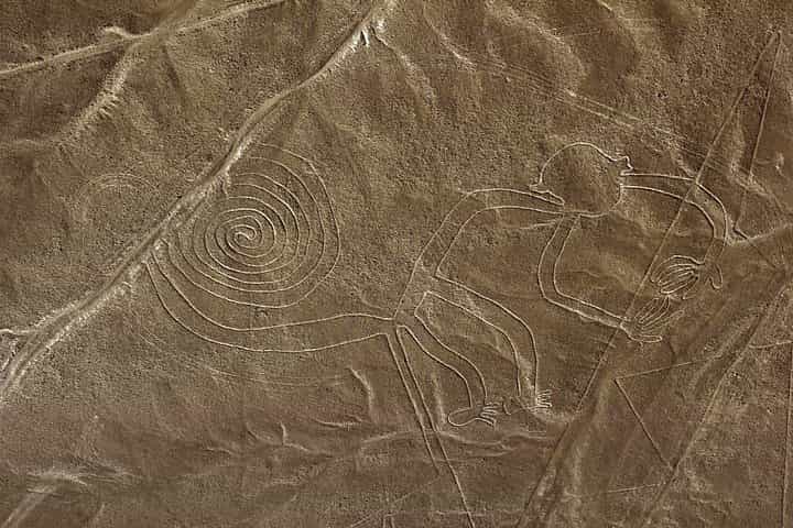 Nazca Lines & Ballestas Islands Private Full Day Tour from Lima