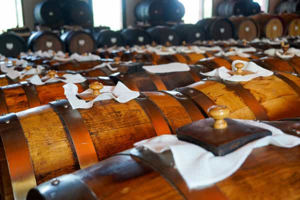 From Bologna: Brunch, Balsamic Vinegar and Wines in the Food Valley