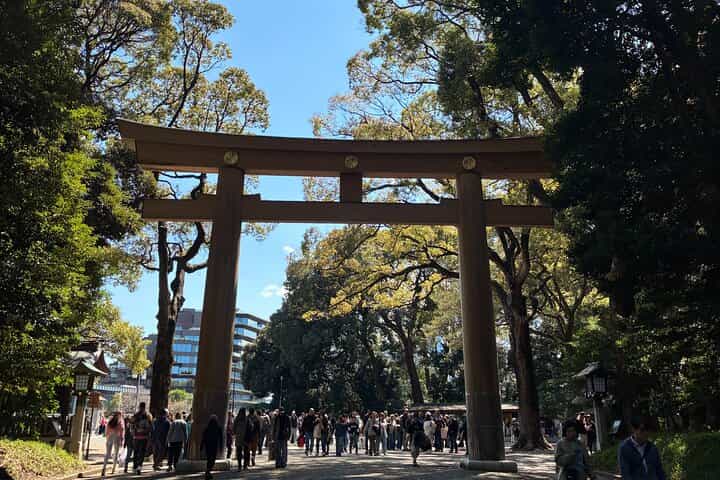 Meiji Jingu, Harajuku Tradition Meets Kawaii Culture