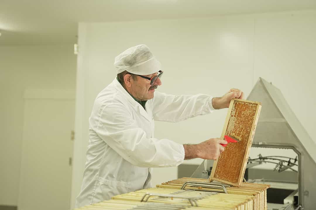 Tornareccio & Dinner in Archi: Honey Tasting and Olive Oil